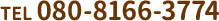 080-8166-3774